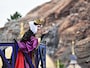ザ・ヴィランズ・ワールド