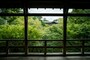 通天橋からの眺め
