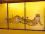 虎の襖絵の一部　※撮影禁止（特別に許可を得て撮影）