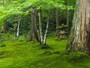 聚碧園
