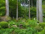 慈眼の庭