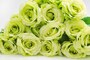 バラ（薔薇）の花言葉・緑