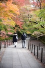 京都市の南西に位置する長岡京市の紅葉の名所、光明寺の参道。2017年11月20日の参道の様子