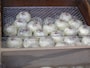 川越の名産品のさつま芋を素材とする「いも恋」