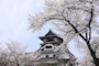 花見も紅葉も楽しめる