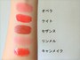 塗り比べてみると発色や質感の違いがわかる！