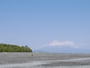 三保の松原からの松林と富士山