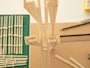 割り箸工作 ビー玉コースター　コースターの柱を建てていく