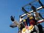 しなやかな指の動きもお見逃しなく（2020年11月30日撮影）