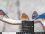 壁紙が切り替わりました