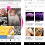 画面上部にあるテキスト入力枠に、言葉を入力して検索する