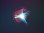iPhoneユーザー必見の iOS 14.5 の注目新機能まとめ