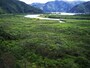 奄美大島の常緑広葉樹林 