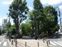 園内には湧き水の池もあり、自然あふれる公園です。