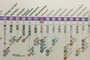 乗換路線が記されていないのは半蔵門駅のみ