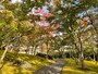 箱根美術館の紅葉