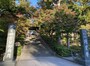 入り口の階段を覆うように枝を伸ばした木々たちも美しい