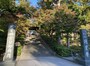 入り口の階段を覆うように枝を伸ばした木々たちも美しい