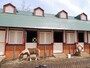 どうぶつ広場