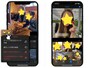 iOS 15で便利になった「写真」アプリの機能まとめ