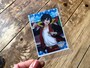 フリマアプリの梱包材として使える