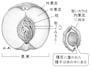 モモ,果実,核,種