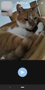 撮影できました。投稿ボタンをタップします