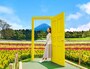 虹の花まつり