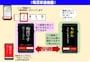 デジポリス「痴漢撃退機能」