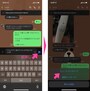 メッセージを書いたら、「送信」ボタンを長押し。表示された小さな画面の「ミュートメッセージ」をタップする