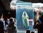 旭川市旭山動物園