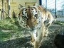 釧路市動物園