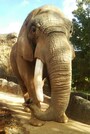 八木山動物公園 フジサキの杜