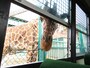 岩手サファリパーク