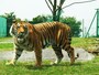 岩手サファリパーク