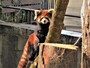 八木山動物公園 フジサキの杜