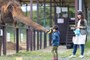 岩手サファリパーク