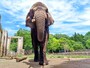 盛岡市動物公園 ZOOMO