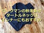 ワークマンのレディース「ハーフミラノリブタートルネック」