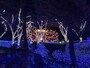 「ハートフルイルミネーション」