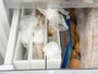 アイラップを立てて収納できるケース