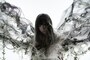 Aimer