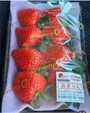 埼玉県行田市のベリーズファームハセガワの「あまりん」