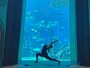 アトランティス・ザ・パームのロストチェンバー水族館での朝ヨガ