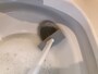 ダイソーの「やわらか水切れが良いトイレブラシ」は便器にフィットする
