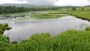 知床五湖（8）／一湖とエゾシカの親子
