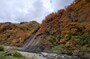 清津峡（3）／対岸の紅葉と清津川の流れ