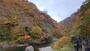 清津峡の紅葉・黄葉