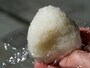 お米そのものの甘味・旨味を感じられる「塩むすび」