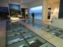 地元の人にも好評な沖縄県立博物館の展示 （C）OCVB